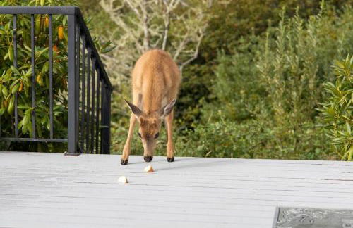 Tenmile Lakeview Hideaway - Foto 26