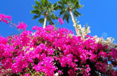 Apartamentos El Capricho - Foto 4