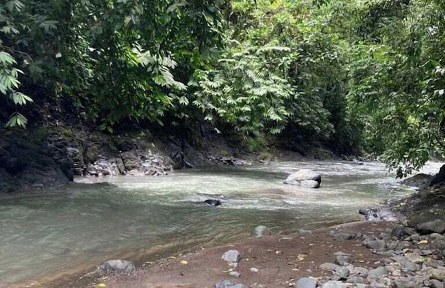 VerdEnergia - Foto 4