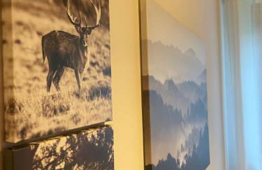 Hirschblick - Foto 15