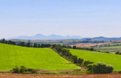 Little Twin View - Foto 14