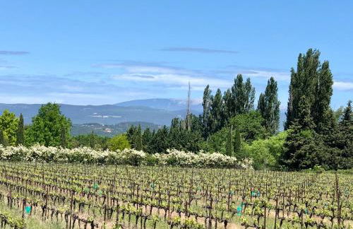 La Verrière à Bonnieux - Foto 14