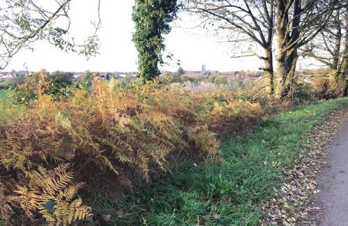 Hollybush Lodges - Foto 62