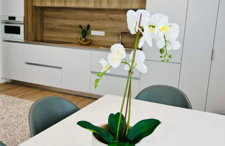 BEST LOFT NEAR REAL MADRID STADIUM - Foto 8