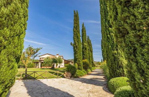 Il casale degli olivi - Foto 42