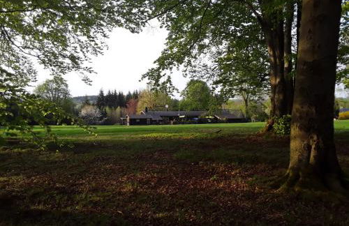 Apartment am Buchenhain - Foto 1