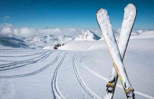 Le Cosy Fleuri - Foto 28