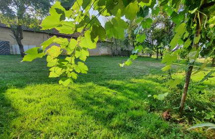 Apartmani Fenestra -Zagorka - Foto 31