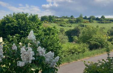 Eifel Urlaub mit Hunden Ferienhaus Schwalbennest Schalkenmehren - Foto 12