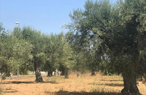 Casette nel Borgo - Foto 16