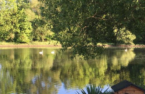 Ferienwohnung Hankel - Foto 12