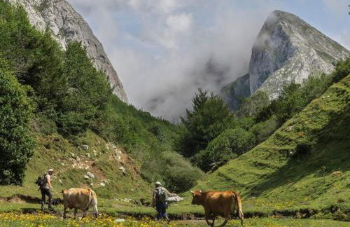 La Casa Roja de Quirós - Foto 36