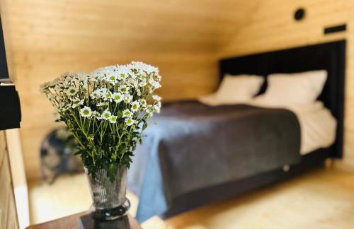 DOMKI Leśna Cisza jezioro Powidzkie dla 18 osób - 5D Apartments - Foto 30