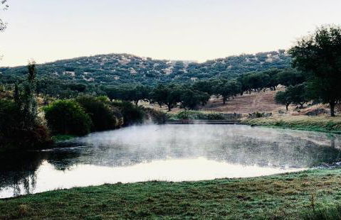 La Siesta del Naranjo - Foto 44