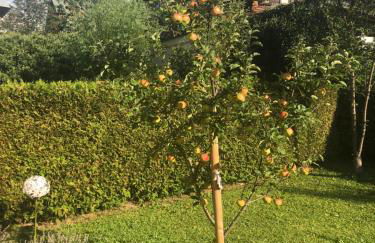 Auszeit im Allgäu - Foto 12