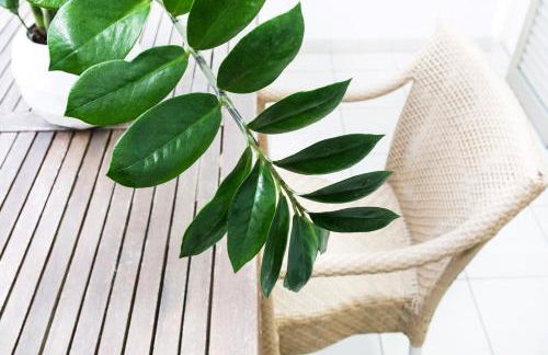 Perla del Parco - Foto 9