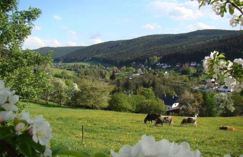 Ferienwohnung Lang - Foto 7