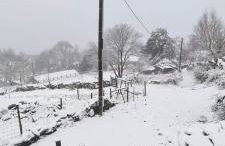 Cardenha da Bessada - Foto 42