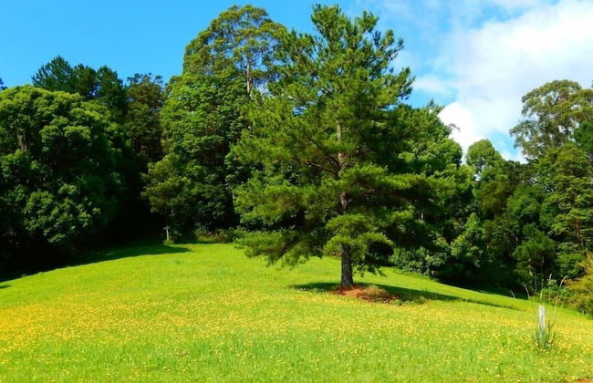 Riverbend Byron Hinterland Retreat - Foto 11