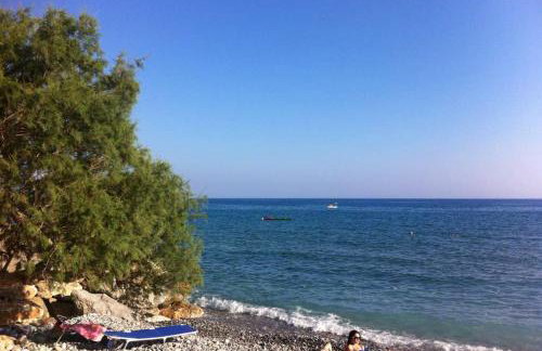 Mini Villas Green - Foto 17