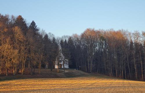 Ferienwohnung Dreher - Foto 2