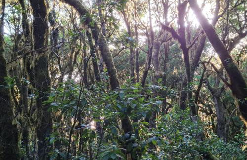 Deluxe Suite 70qm. Toller Blick, super Ausstattung - Foto 23