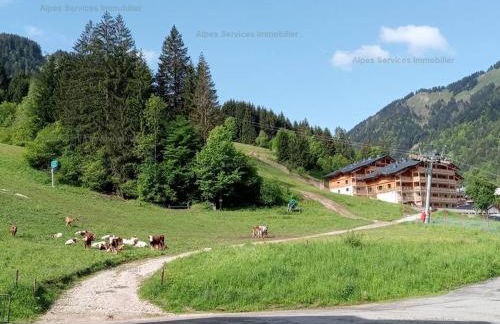 Duplex spacieux, 3 pièces près des pistes, Saint-Jean-d'Aulps - FR-1-573-76 - Foto 19