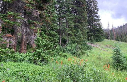 Large Family Cabin Near Park City - Foto 63