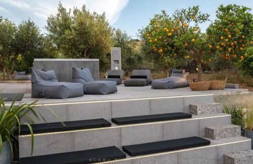 Orange Tree - Foto 35