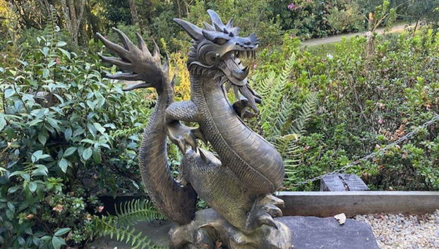 See the Chinese dragon