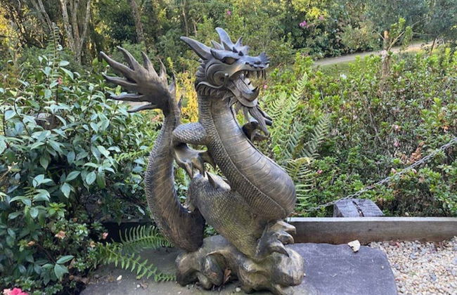 Tour panoramico di Campos do Jordão + Parco Amantikir - Foto 6