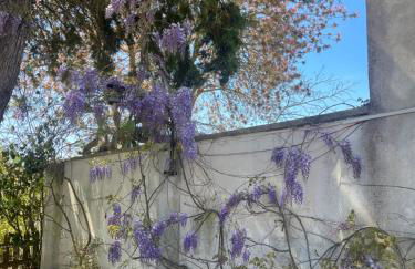 Midori-an 緑庵 - The Garden - Foto 70