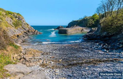 The Stables And Bullpen - Photo 30