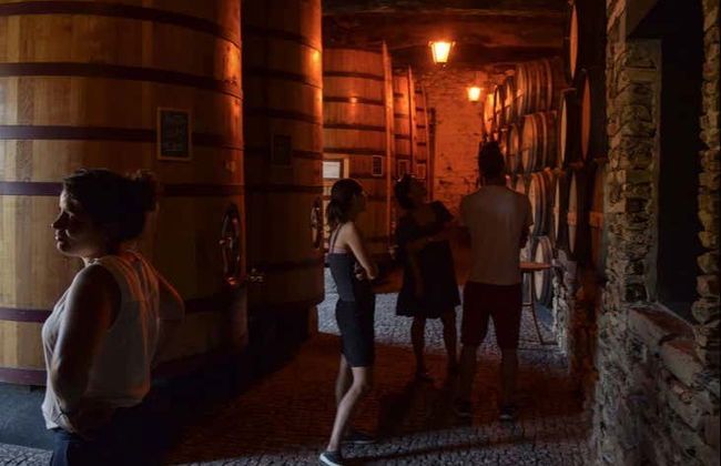 Visita à adega Quinta do Tedo - Foto 5