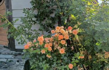 Świerkowe Siedlisko pokoje gościnne - Foto 23