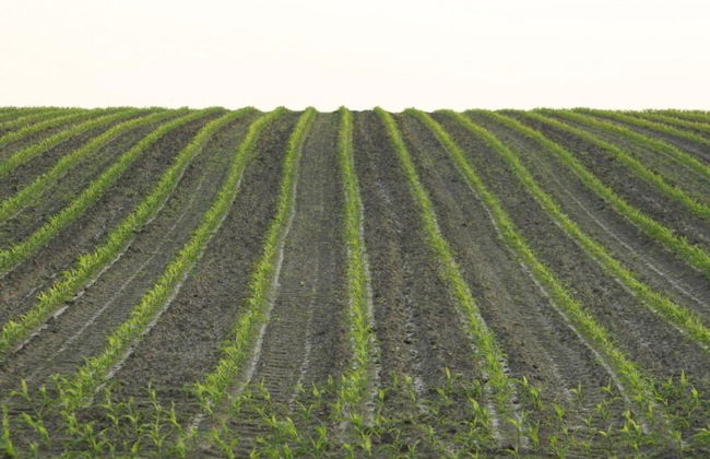 Chalet in Netherlands With Private Garden - Foto 32