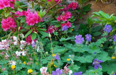 Gîte Fleurs de Gamay au coeur du Beaujolais - Foto 23