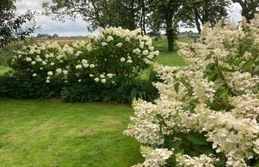 Marie Carla - Foto 52