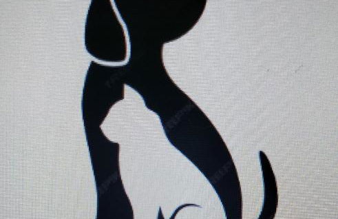 LA CONCHIGLIA - Sirolo Suite - Foto 47