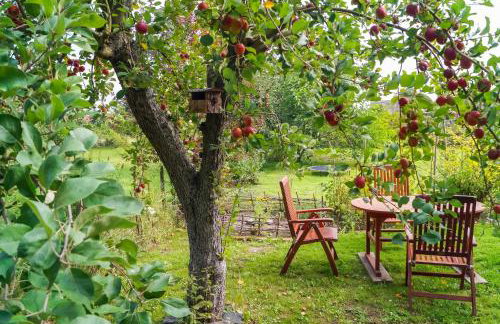 Ferien unnern Appelboom (80m2 Wohnung mit großem Garten) - Foto 28