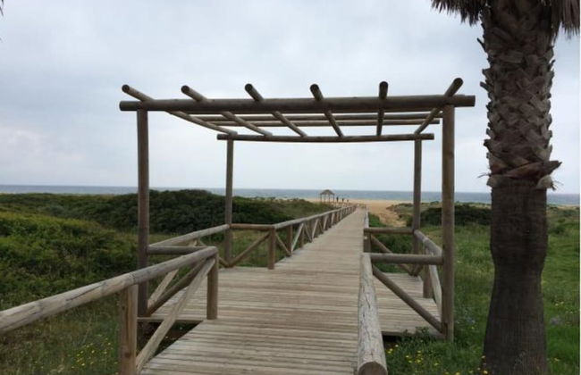 103398 - Apartment in Zahara - Photo 15