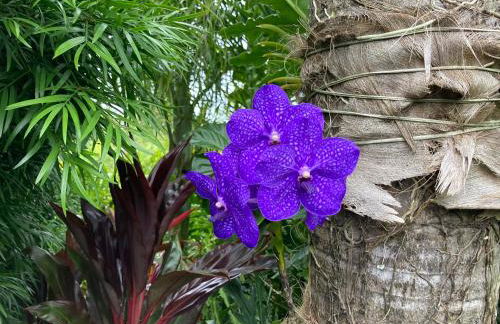 Comfort Nest - Foto 33