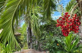 Pousada Rio das Onças - Photo 43