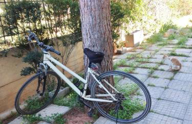 Penthouse Peaceful Oasis - Foto 43