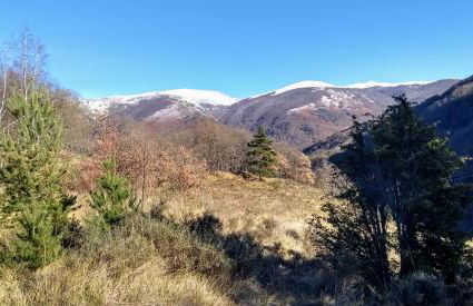 Le Nopal Bleu - Foto 40