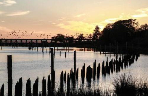 Historic Astoria Waterfront Views Vintage Vibes - Foto 60