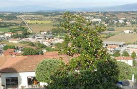 Tre Girasoli - Foto 72