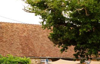 Domaine Bonneblond - Foto 32