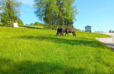 Berg-Panorama-Ferienwohnungen Gut-Lichtenau - Foto 31