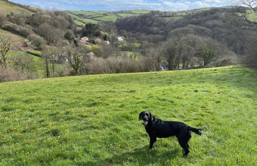 Yukon Cottage at Pink Heather - Stunning North Devon Escape - Foto 36